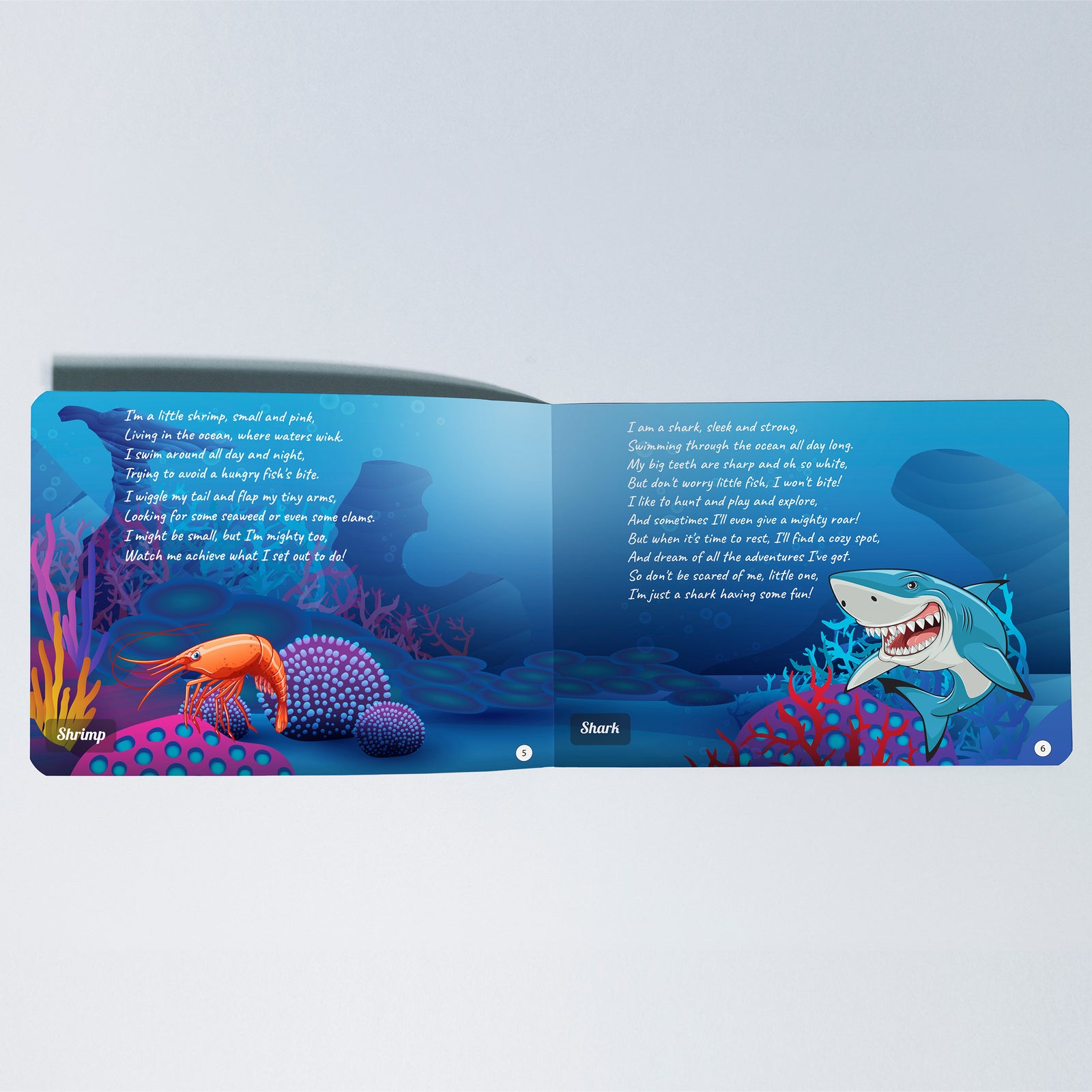 Kiddale 2-Pack Ripple in the Water and Chirping in the Sky Board books