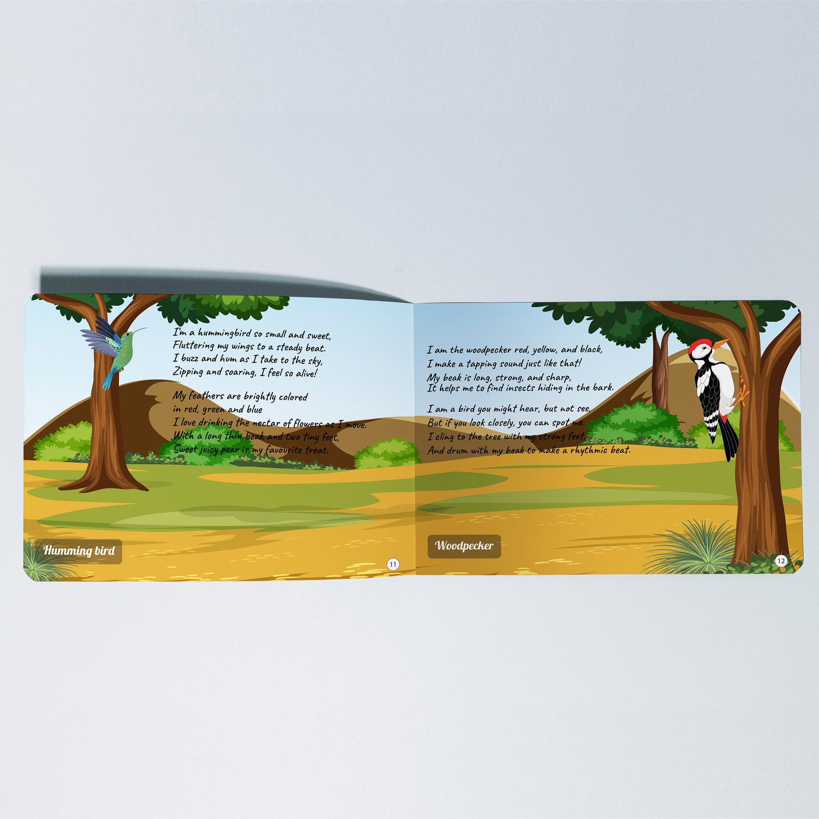 Kiddale 2-Pack Jingle in The Jungle and Chirping in the Sky Board books.