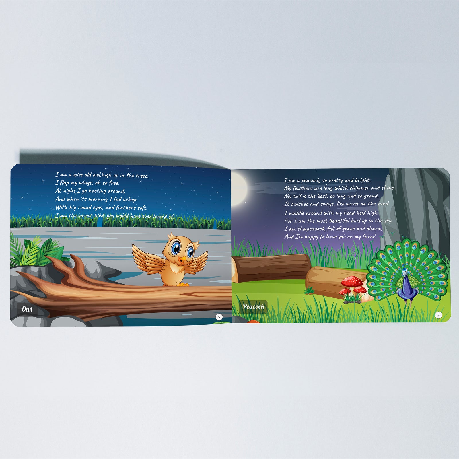 Kiddale 2-Pack Jingle in The Jungle and Chirping in the Sky Board books.